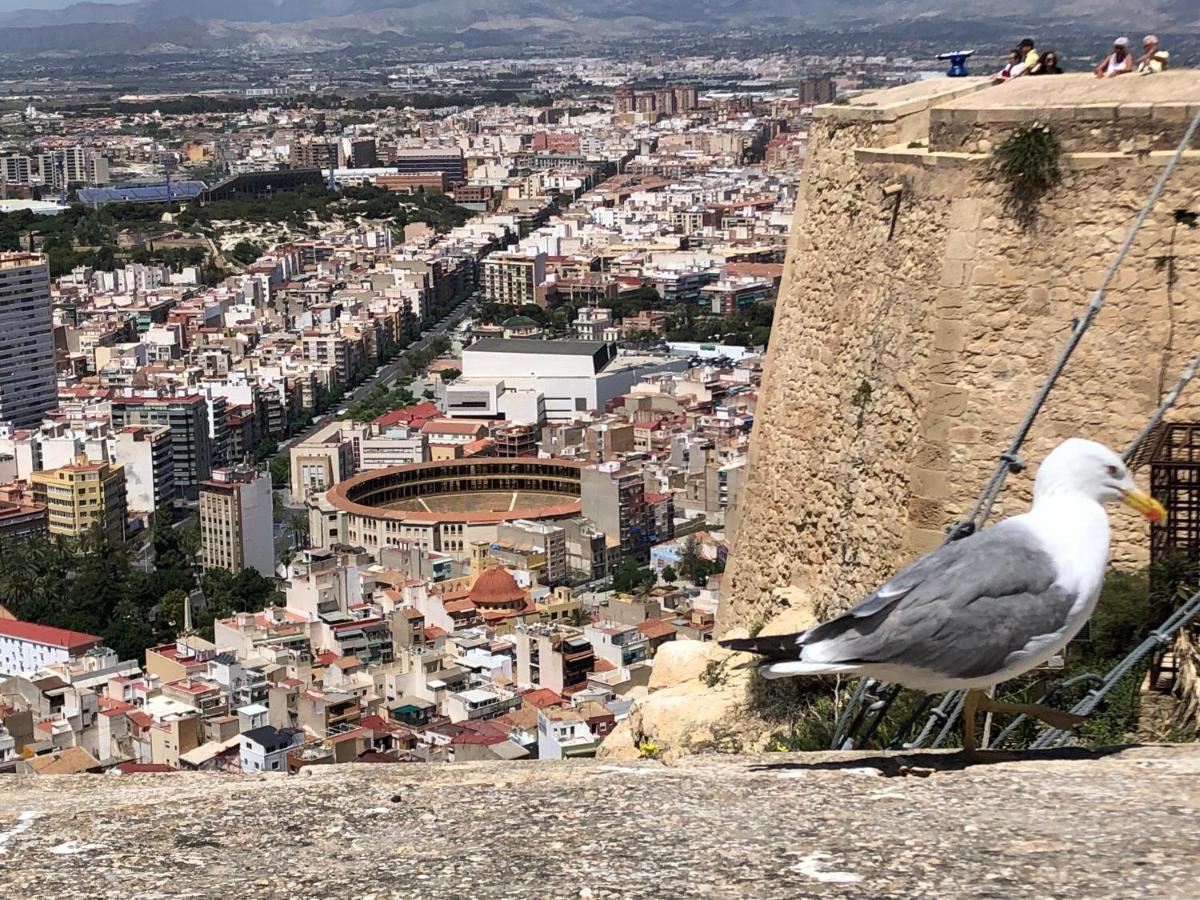 Calle San Carlos 132 Αλικάντε Εξωτερικό φωτογραφία